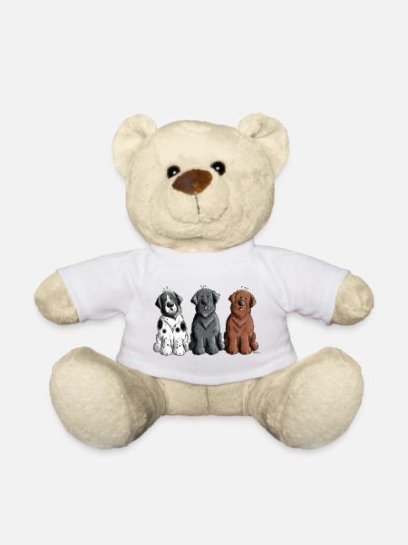 Neufundländer Trio - Teddy - Weiß