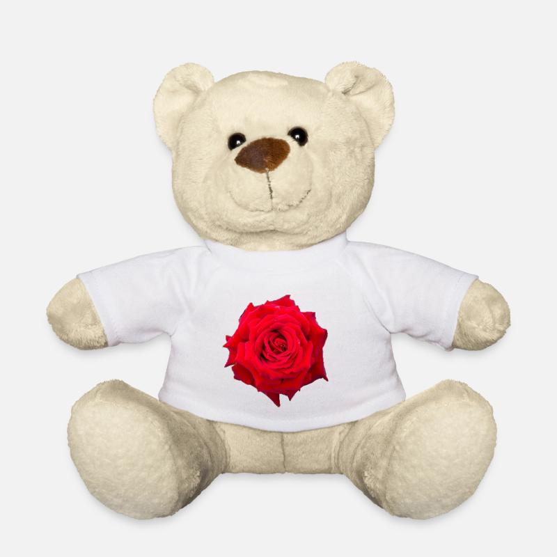 Rose - Teddy - Weiß