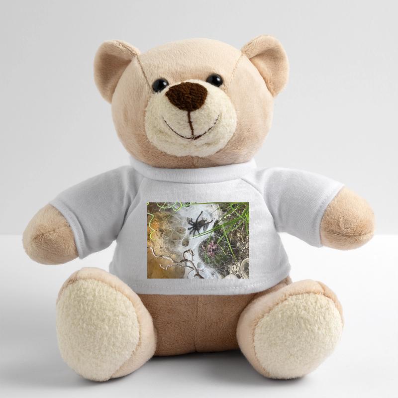Tarentule sur le web Nounours