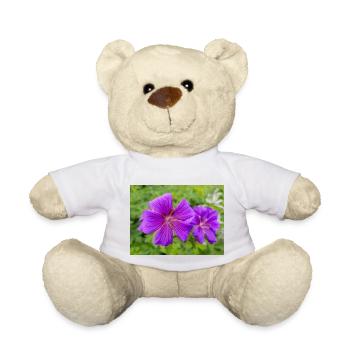 Geranium Brookside in german Storchschnäbel - Teddy Bear - white - Front