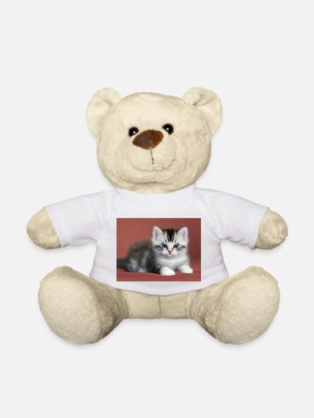 Blue-eyed kitten - Teddy Bear - white