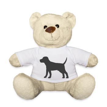 Hund - Teddy - Weiß - Vorne