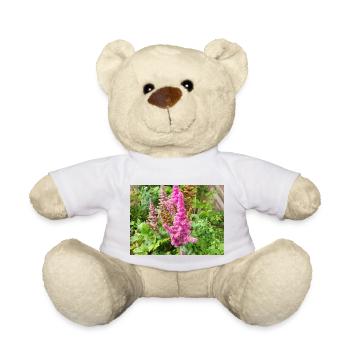 fausse barbe de mâle Astilbe japonica - Nounours - blanc - Devant