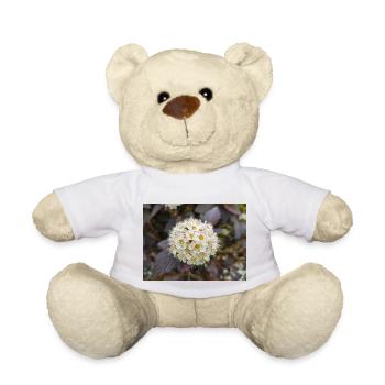 Physocarpus capitatus Blasenspiere - Nounours - blanc - Devant