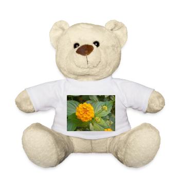 Lantana aussi drapeau espagnol Wandelröschen Lantana - Nounours - blanc - Devant
