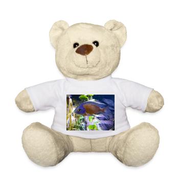 Copadichromis borleyi Buntbarsch - Teddy - Weiß - Vorne