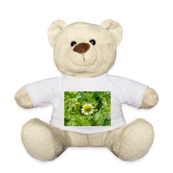 camomille aussi kamilla (en allemand Echte Kamille) - Nounours - blanc - Devant