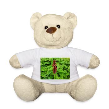 Toison des montagnes Persicaria amplexicaulis - Nounours - blanc - Devant