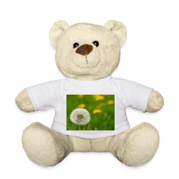 Pissenlit - Nounours - blanc - Devant