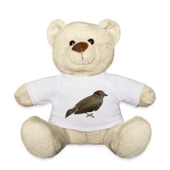 Fauvette à tête noire femelle - Nounours - blanc - Devant