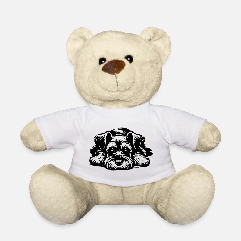 Zwergschnauzer - Teddy - Weiß