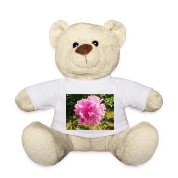 Chinesische Pfingstrose Chinesische Pfingsrose Paeonia - Teddy - Weiß - Vorne