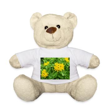 orpin aussi sedum aussi orpine Ewige Fetthenne - Nounours - blanc - Devant