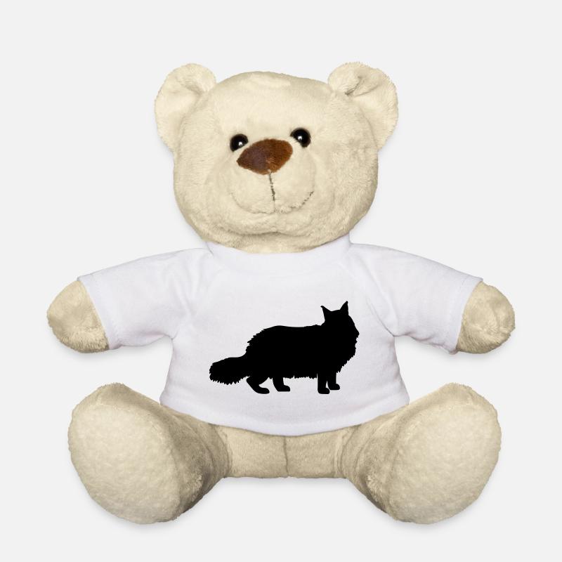 Maine Coon - Nounours - blanc