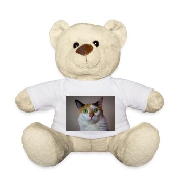 le chat au doux regard - Nounours - blanc - Devant