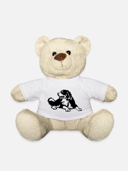Bouvier bernois - Nounours - blanc