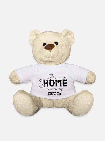 Katzen Zuhause - Teddy - Weiß