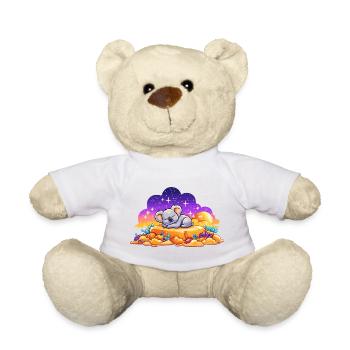 Koala endormi sur un rocher lumineux - Nounours - blanc - Devant