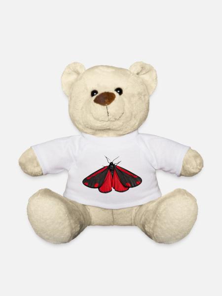Cinnabar Moth Tyria jacobaeae - Teddy Bear - white