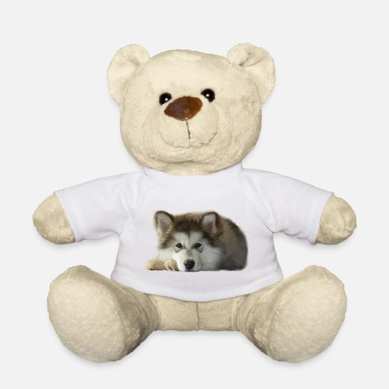 Chiot malamute Maia - Nounours - blanc