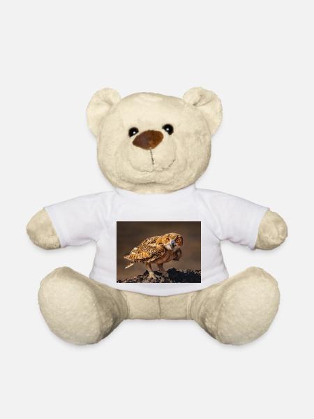 FB IMG 1712693430077 - Teddy Bear - white