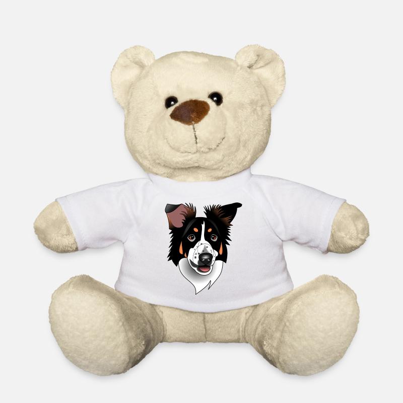 Border Collie - Tricolor Schwarz - Teddy - Weiß