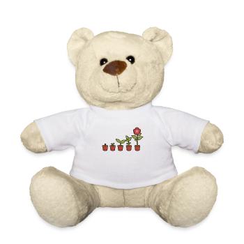 Evolution of a flowers blooming in the pot - Teddy Bear - white - Front