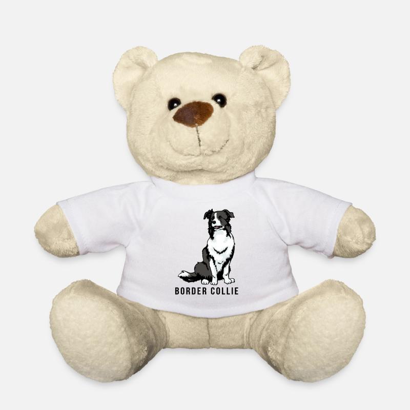 Border collie - Nounours - blanc