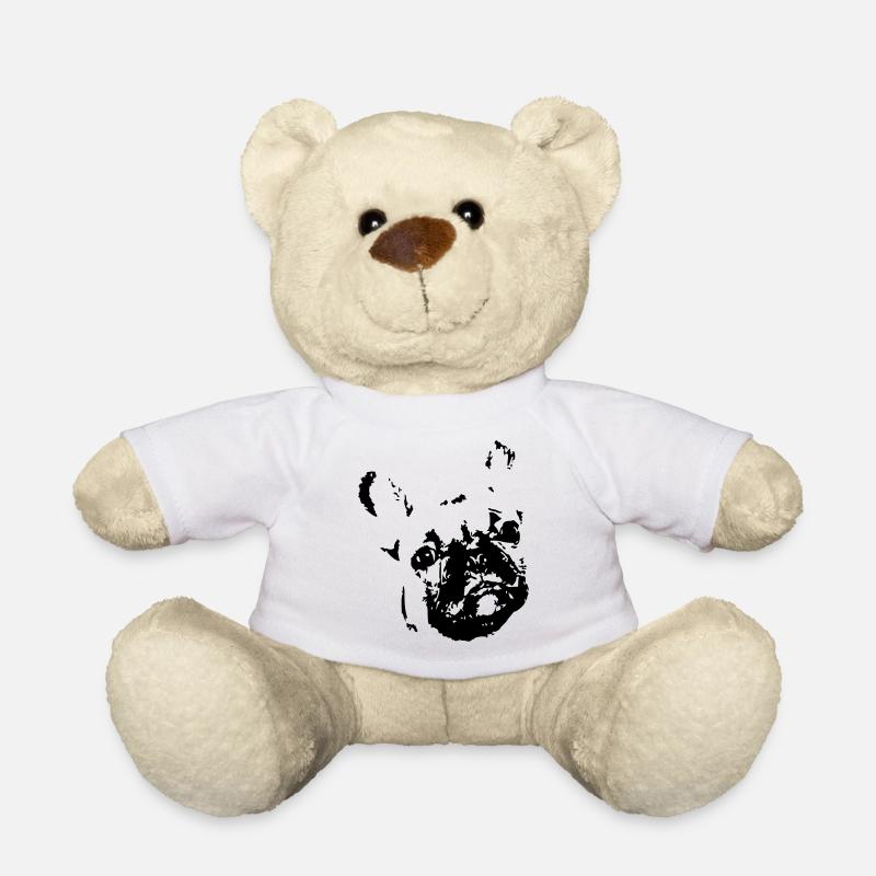 Bouledogue français, bouledogue, bouledogue français - Nounours - blanc