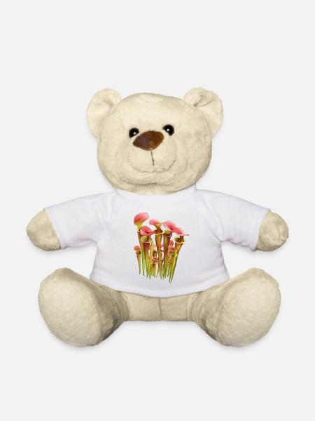 Garten Fleischfressende Schlauchfflanze Sarracenia - Teddy - Weiß