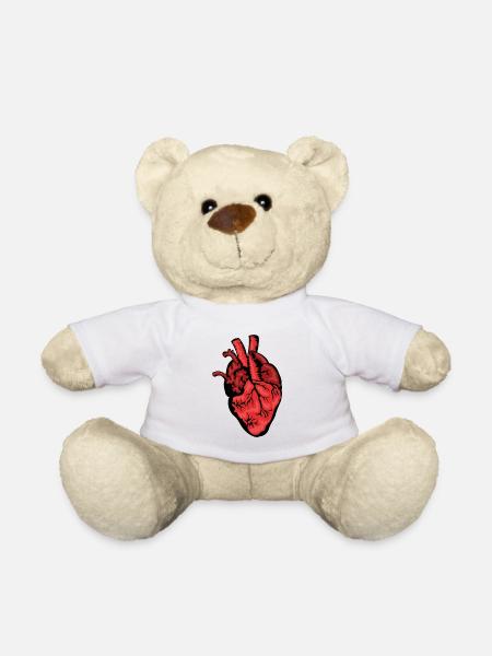 Coeur humain coeur anatomie coeur médecine - Nounours - blanc