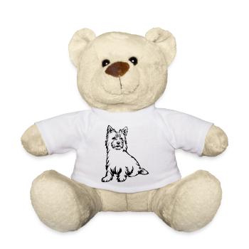 Cairn Terrier - Nounours - blanc - Devant