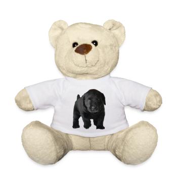 Photo 1618694316942 - Teddy Bear - white - Front