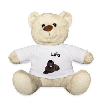 L’amour des chiens pour un Terre-Neunois - Nounours - blanc - Devant