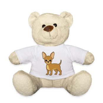 Chihuahua - Teddy - Weiß - Vorne