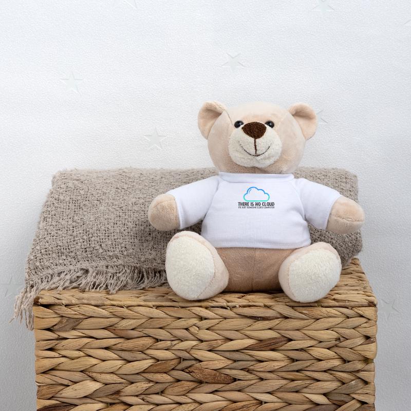 There is no cloud its just someone elses - Teddy Bear
