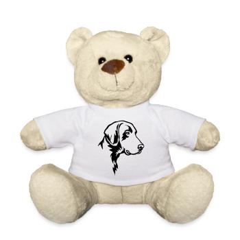 Deutsch Kurzhaar Kopf - Teddy - Weiß - Vorne