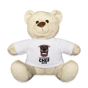Hund American Pit Bull Terrier Cool Chef - Teddy - Weiß - Vorne