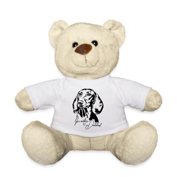 Miniature Dachshund Portrait Dog Portrait Dogs - Teddy Bear - white - Front