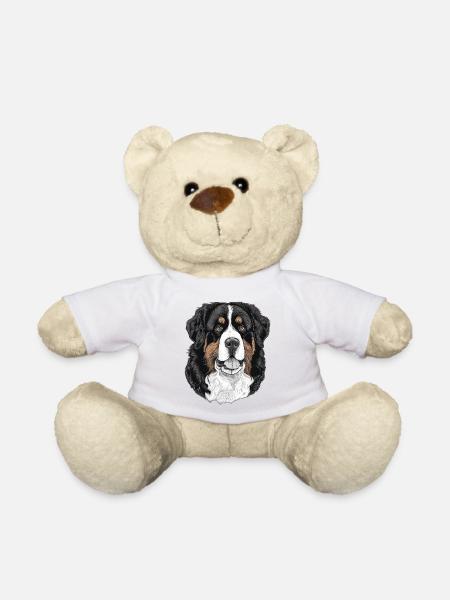 Berner Sennenhund - Teddy - Weiß