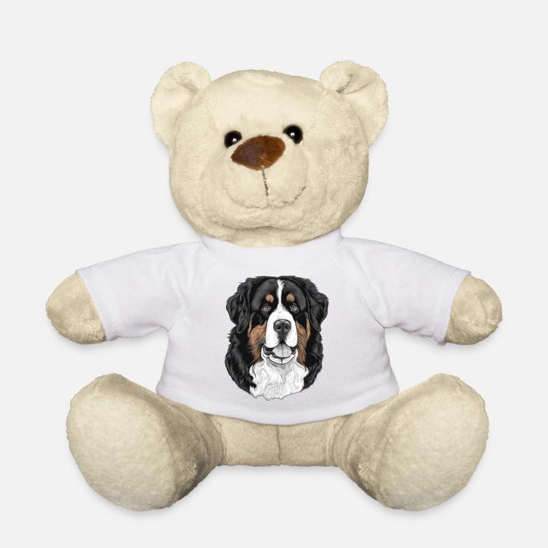 Bouvier bernois - Nounours - blanc
