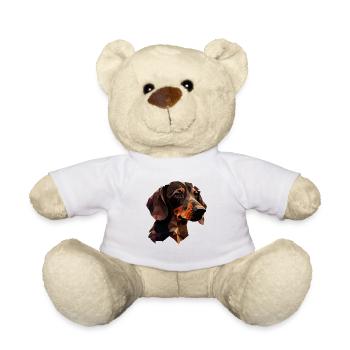 Rauhaardackel Dachshund Hund Hunde Welpe Dackel - Teddy - Weiß - Vorne