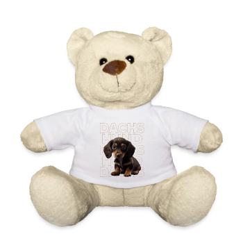 Rauhaardackel Dachshund Hund Hunde Welpe Dackel - Teddy - Weiß - Vorne