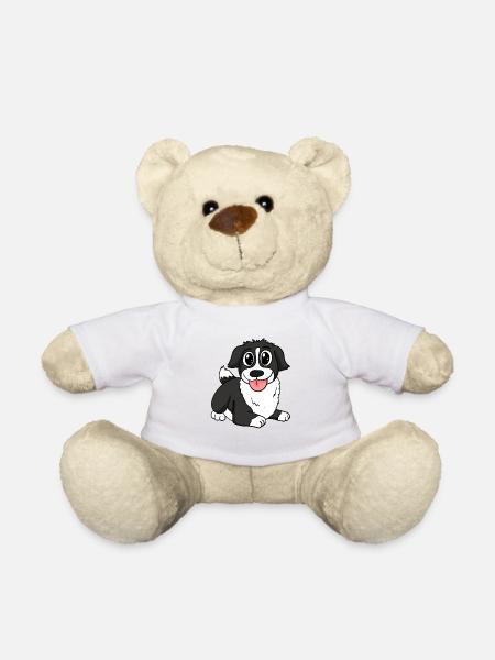 Border Collie Hunderasse Hund Hunde - Teddy - Weiß