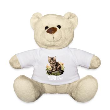 Chat Chats American Bobtail - Nounours - blanc - Devant