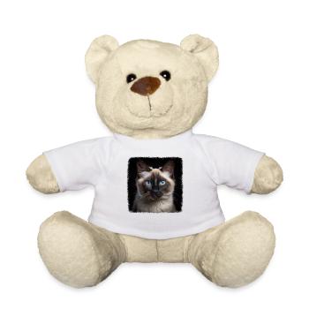 Chat balinais Balinesenkatze - Nounours - blanc - Devant