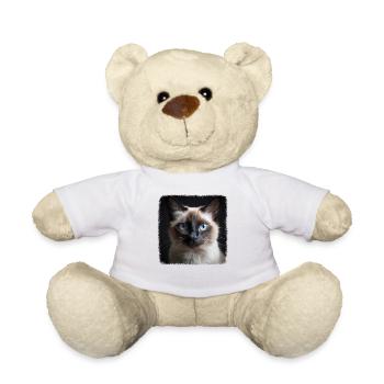 Chat balinais Balinesenkatze - Nounours - blanc - Devant