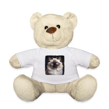 Birman Cat Birma Katze - Teddy - Weiß - Vorne