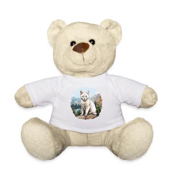 Burmilla Chaton Burmilla Chat - Nounours - blanc - Devant