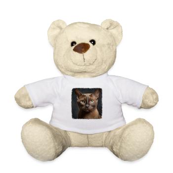 Burmese Cat Burma Katze - Teddy - Weiß - Vorne